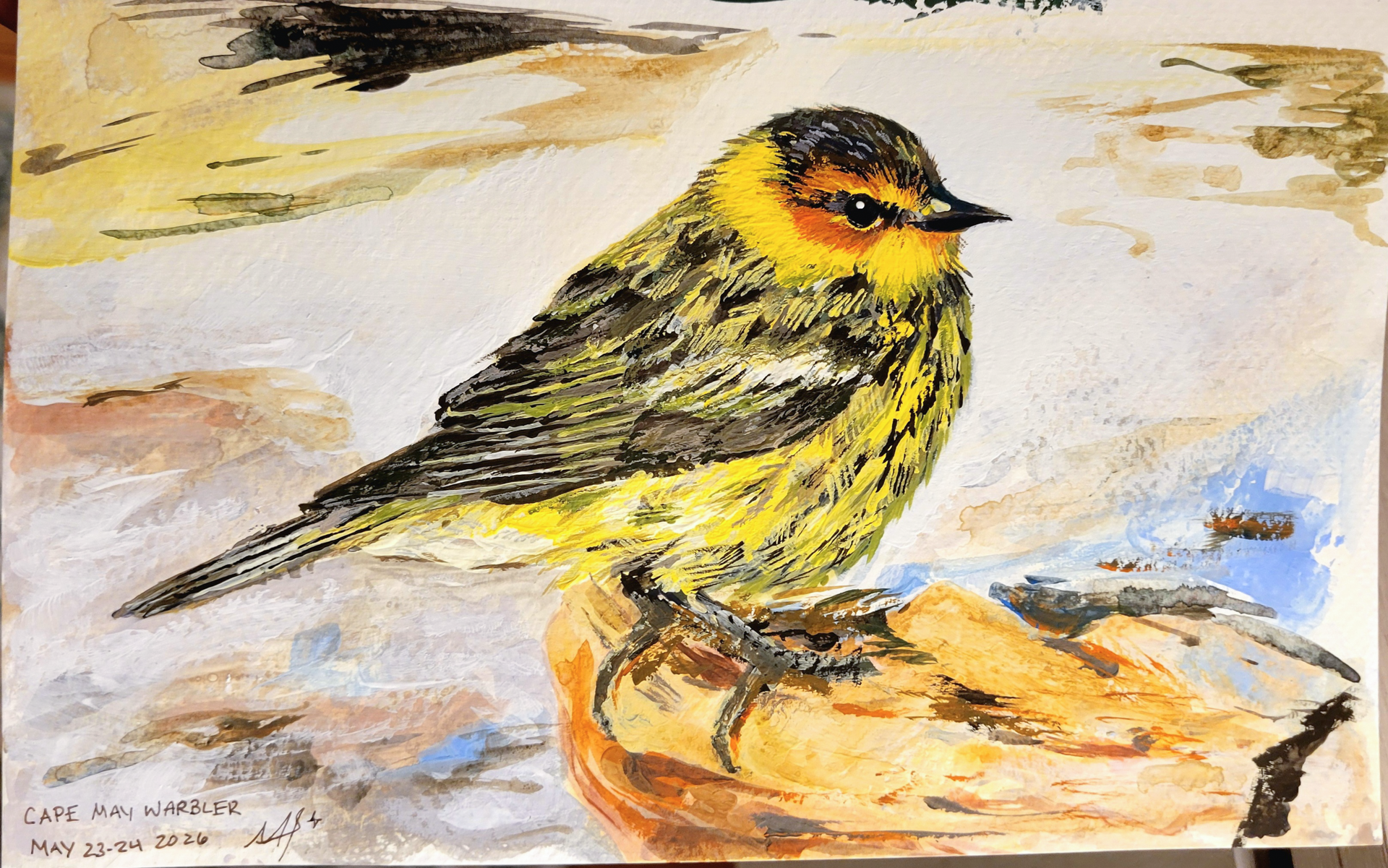 cape may warbler, gouache on watercolor paper